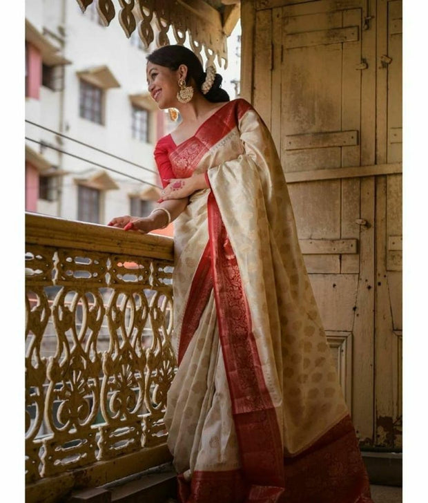 Vastra Alisha