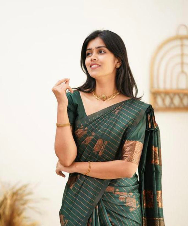Vastra Creations Banarasi Soft Silk Saree
