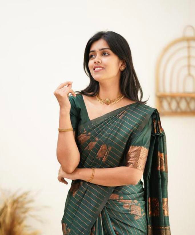 Vastra Creations Banarasi Soft Silk Saree