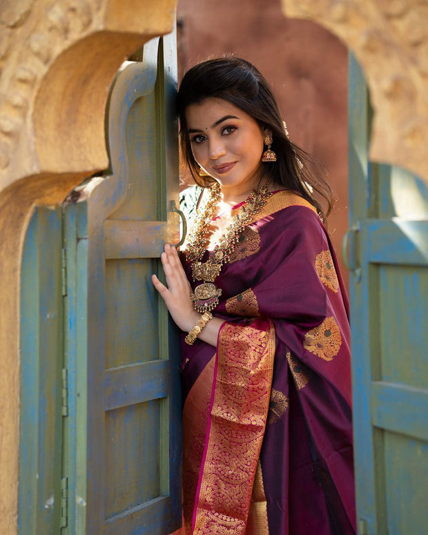 Vastra Creations Banarasi Soft Silk Saree