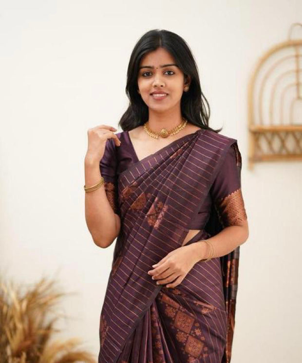 Vastra Creations Banarasi Soft Silk Saree