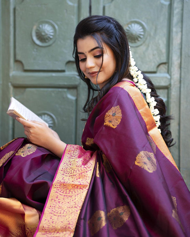 Vastra Creations Banarasi Soft Silk Saree