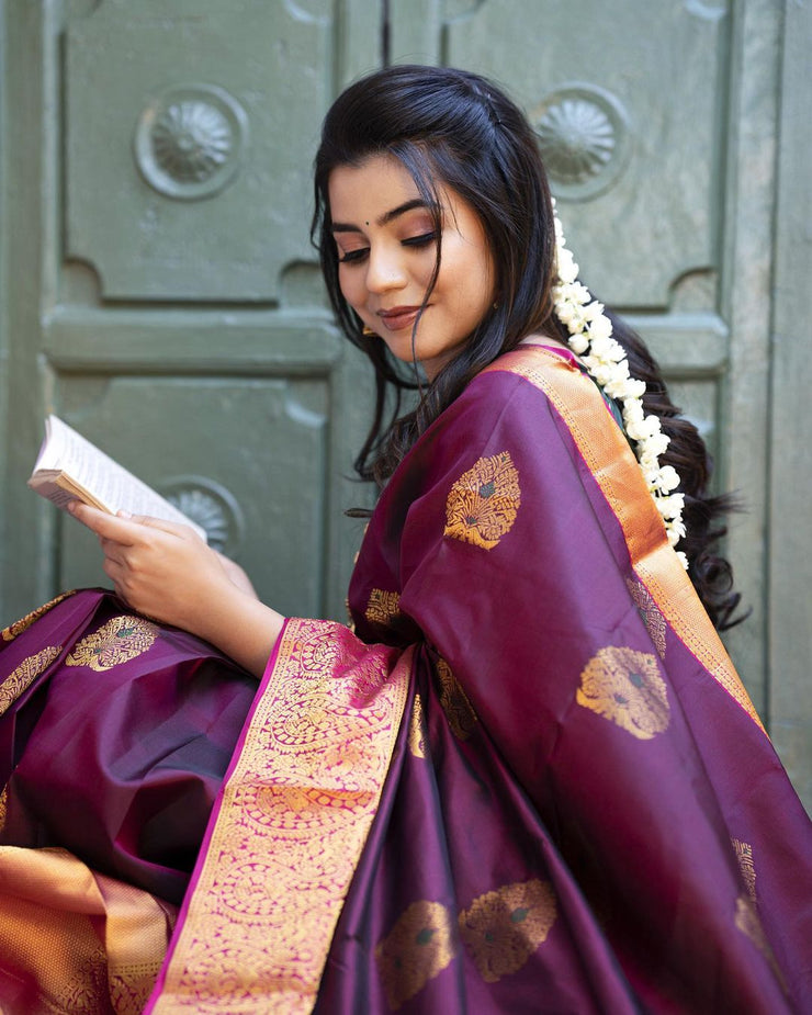 Vastra Creations Banarasi Soft Silk Saree
