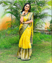 Vastra Creations Banarasi Soft Silk Saree