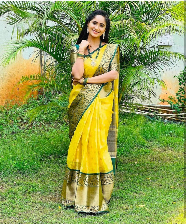 Vastra Creations Banarasi Soft Silk Saree