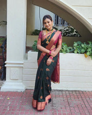 Vastra Creations Banarasi Soft Silk Saree