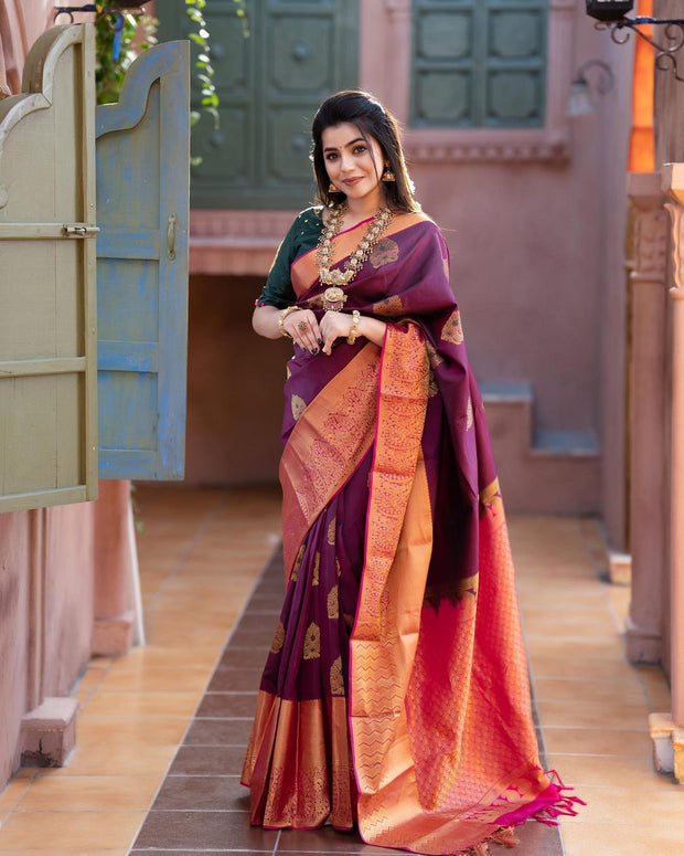 Vastra Creations Banarasi Soft Silk Saree