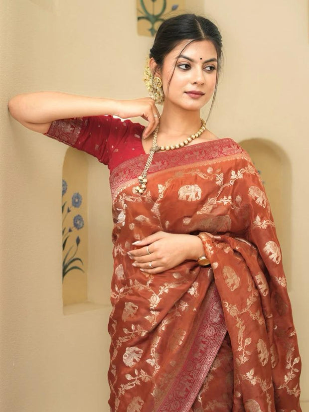 Vastra Creations Banarasi Soft Silk Saree